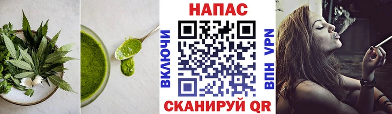 hydra маркетплейс  Буй  Canna-Cookies марихуана 