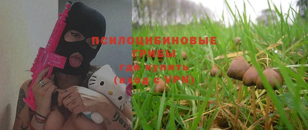 эйфоретик Липки