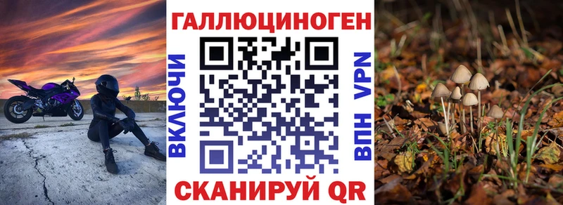 кракен   Буй  Галлюциногенные грибы GOLDEN TEACHER 